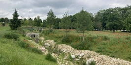 Revitalizácia sídliskového priestoru Agátka - Trnava | Green Architecture