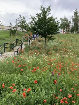 Revitalizácia sídliskového priestoru Agátka - Trnava | Green Architecture