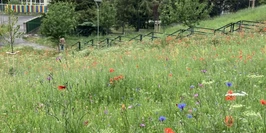 Revitalizácia sídliskového priestoru Agátka - Trnava | Green Architecture