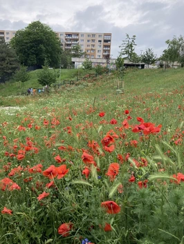 Revitalizácia sídliskového priestoru Agátka - Trnava | Green Architecture