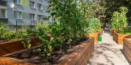 Revitalizácia sídliskového priestoru Agátka - Trnava | Green Architecture