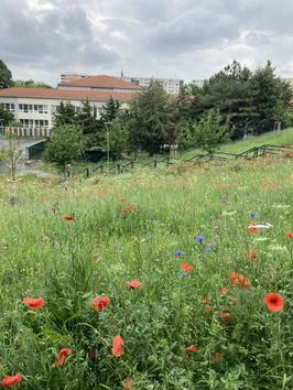 Revitalizácia sídliskového priestoru Agátka - Trnava | Green Architecture